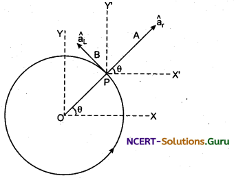 Centripetal Acceleration Physics Notes 1