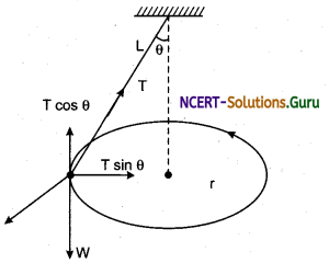 Circular Motion in Horizontal and Vertical Planes Physics Notes 1