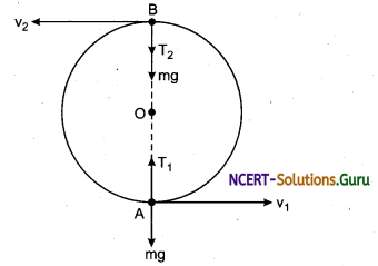 Circular Motion in Horizontal and Vertical Planes Physics Notes 4