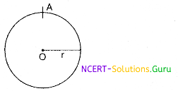 Distance and Displacement Physics Notes 1