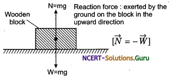 Newton’s Third Law of Motion Physics Notes 1