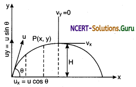 Projectile Motion Physics Notes 1