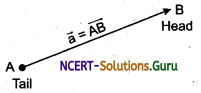 Representation of Vectors Physic Notes 1