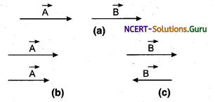 Representation of Vectors Physic Notes 10
