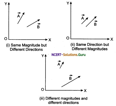 Representation of Vectors Physic Notes 4