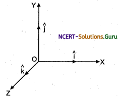 Representation of Vectors Physic Notes 6