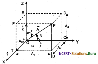 Resolution of Vectors Physics Notes 5